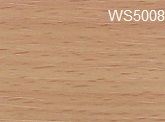 WS5008